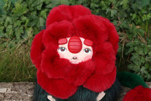 Cargar imagen en el visor de la galería, Maxitroll rosal