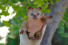 Cargar imagen en el visor de la galería, Tributo a Star Wars Wicket el ewok, fanartdoll.
