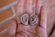 Cargar imagen en el visor de la galería, Orejas de resina para muñecas Blythe. Tamaño grande.