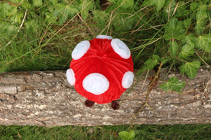 Muchi amanita