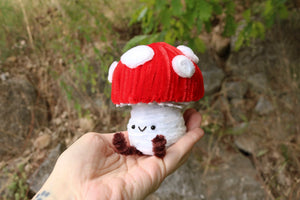 Muchi amanita