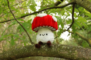 Muchi amanita