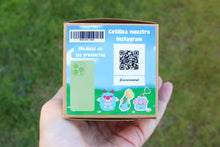 Cargar imagen en el visor de la galería, Blind box chibitrolls tulipán (caja ciega)

