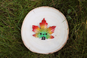 Bright multicolored maple leaf