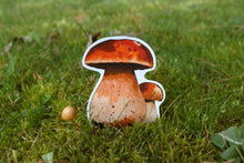 Load image into Gallery viewer, Mushroom stickers
