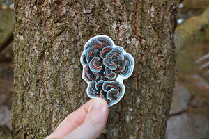 Mushroom stickers