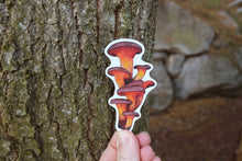 Load image into Gallery viewer, Mushroom stickers
