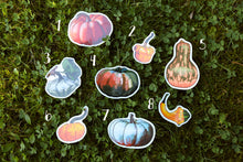 Load image into Gallery viewer, Pumpkin stickers
