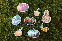 Load image into Gallery viewer, Pumpkin stickers
