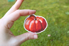 Load image into Gallery viewer, Pumpkin stickers
