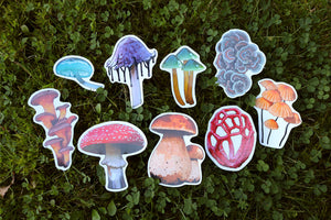 Mushroom stickers