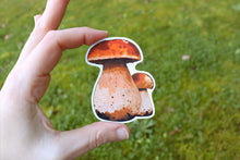 Load image into Gallery viewer, Mushroom stickers
