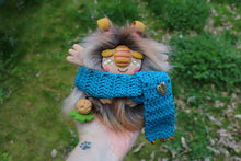 Load image into Gallery viewer, Autumn troll with scarf
